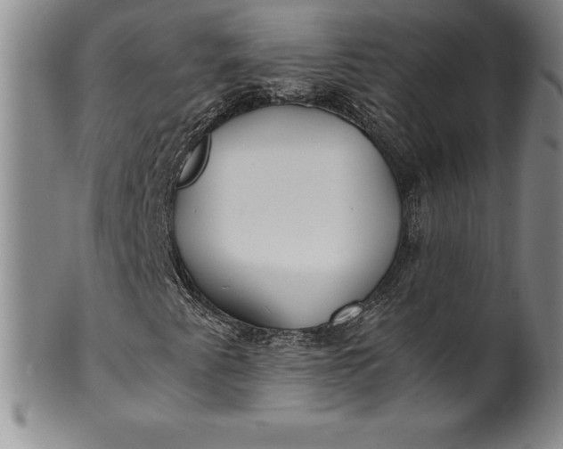 X0000100491345200806271227