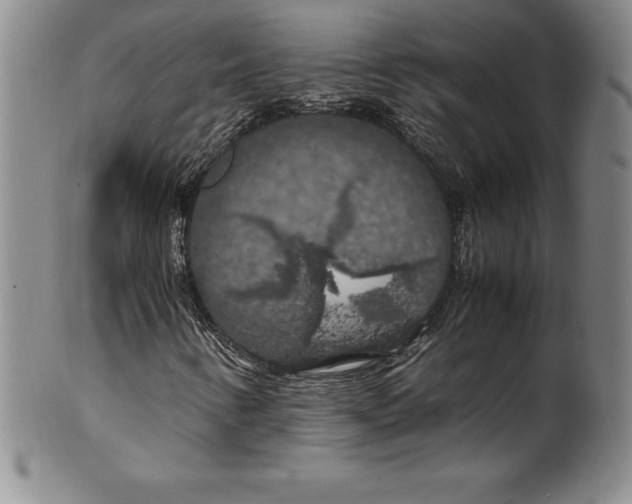 X0000100491346200806271227