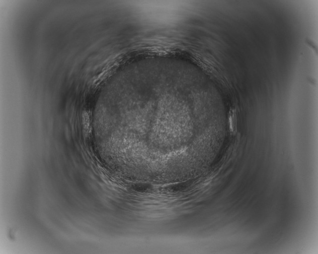 X0000100491347200806271227