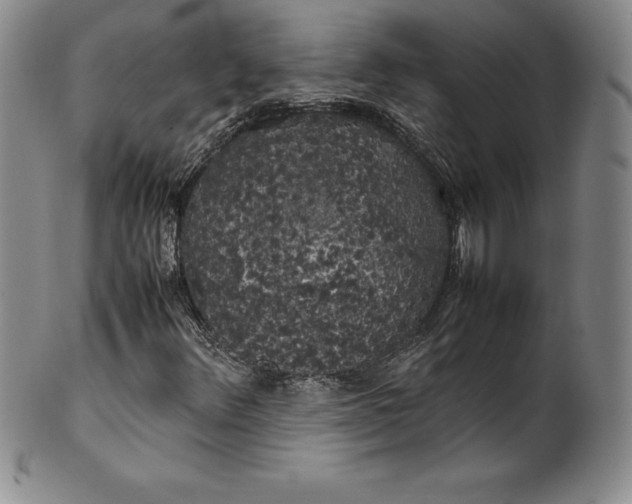 X0000100491348200806271227