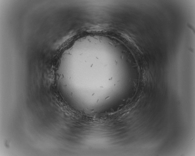 X0000100491350200806271227