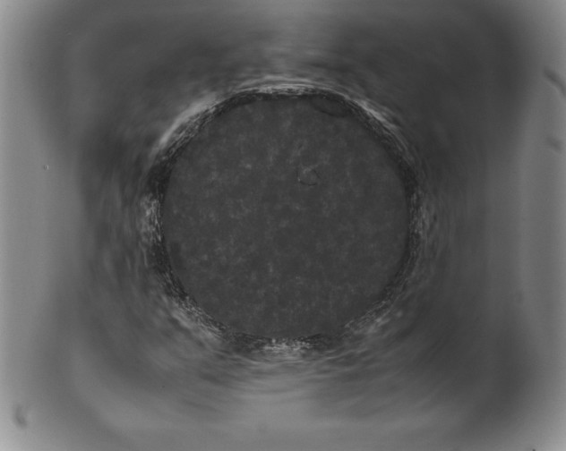 X0000100491351200806271227