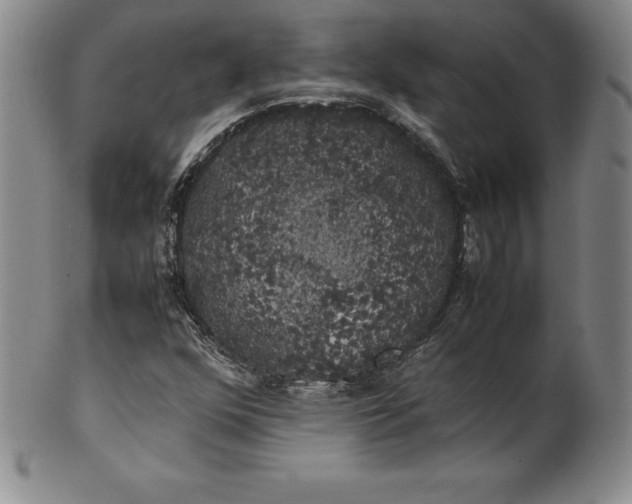 X0000100491352200806271227