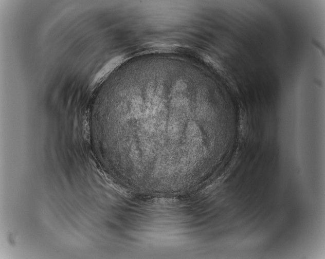 X0000100491354200806271227