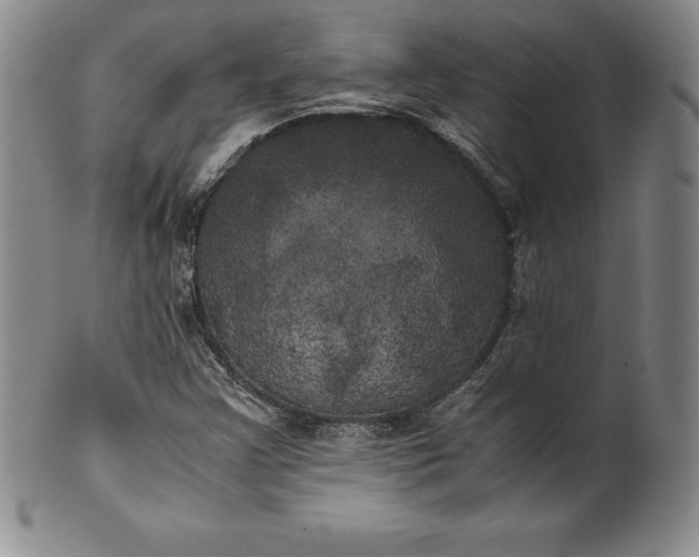 X0000100491355200806271227