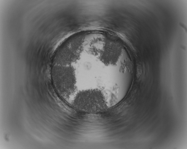 X0000100491356200806271227