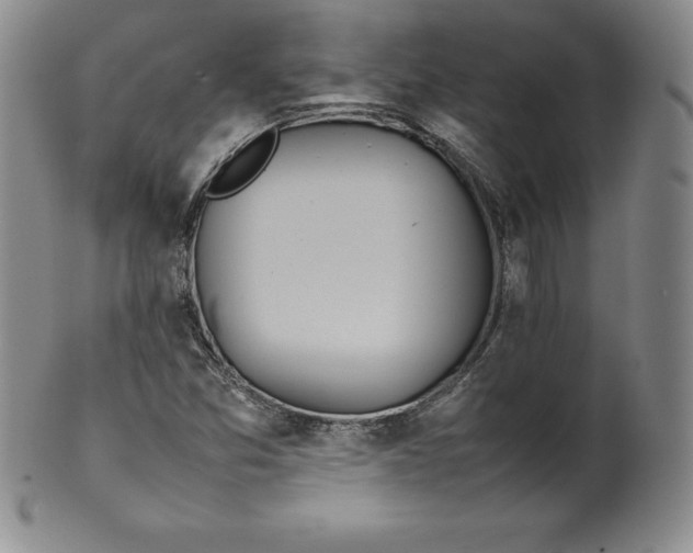 X0000100491357200806271227