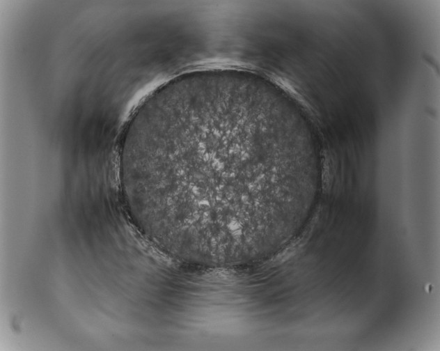 X0000100491358200806271227