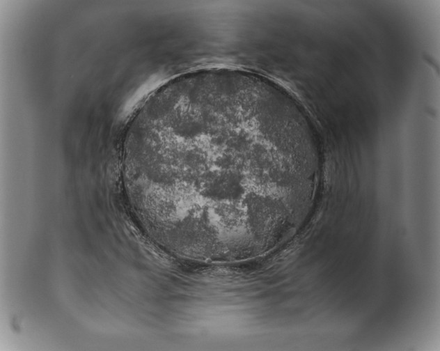 X0000100491359200806271227