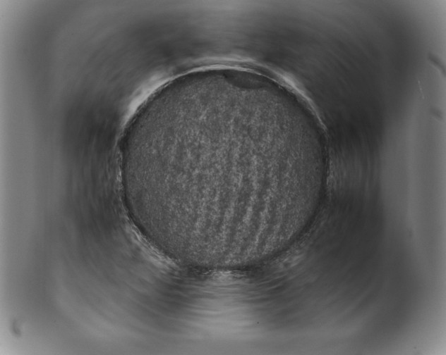 X0000100491360200806271227