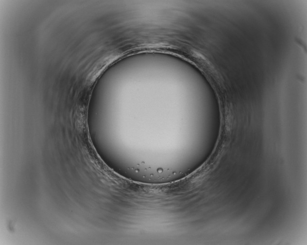 X0000100491361200806271227