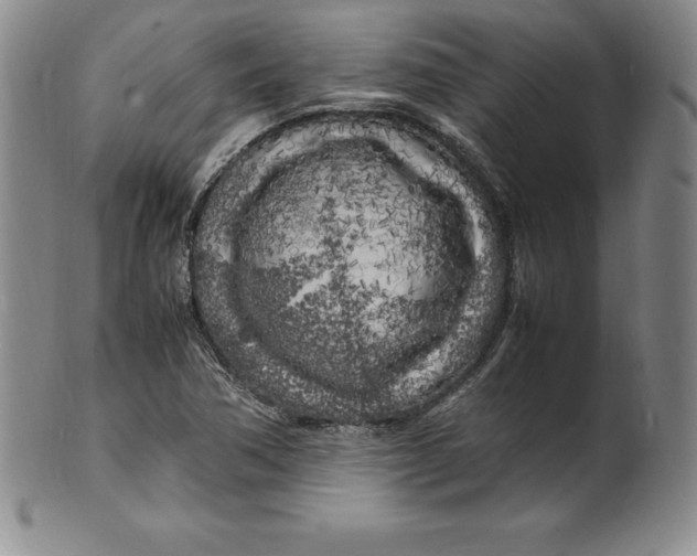 X0000100491362200806271227