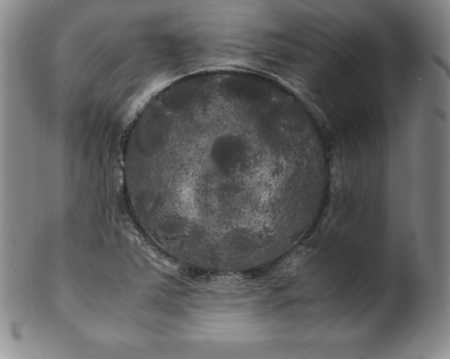 X0000100491363200806271227