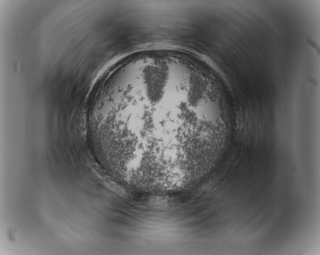 X0000100491364200806271227