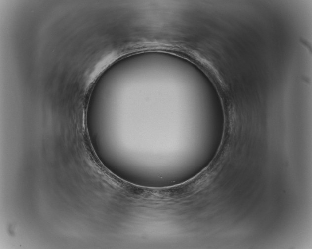 X0000100491365200806271227