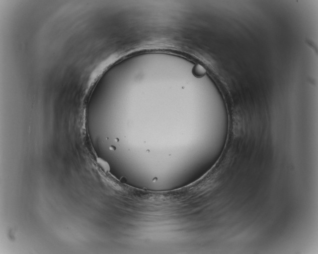 X0000100491366200806271227