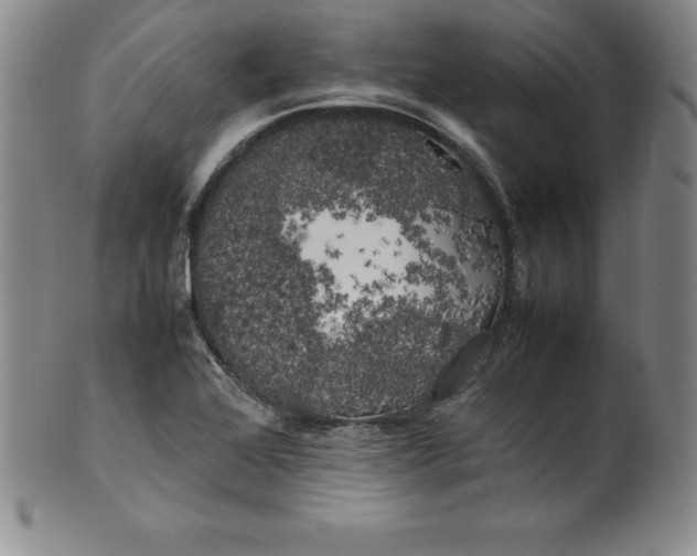 X0000100491368200806271227