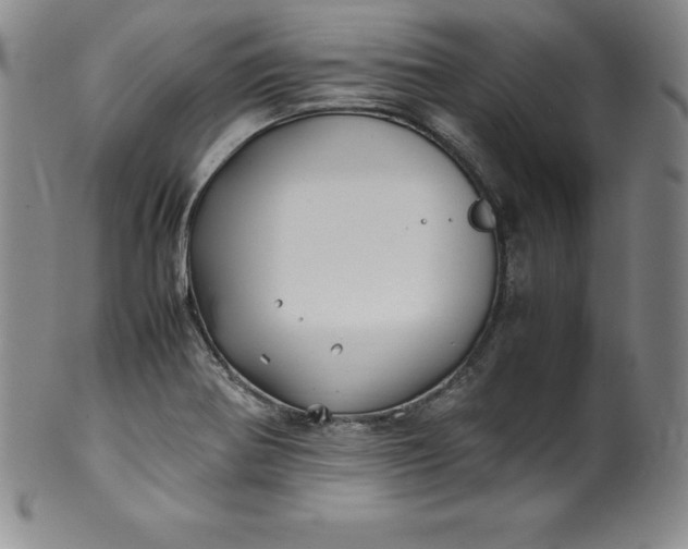 X0000100491370200806271227