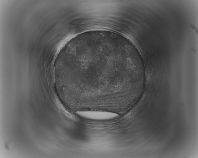 X0000100491371200806271227