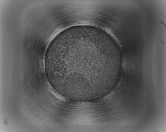 X0000100491372200806271227