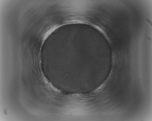 X0000100491373200806271227