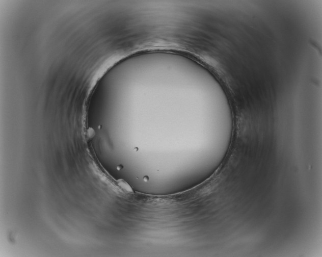 X0000100491374200806271227