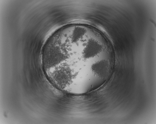 X0000100491376200806271227