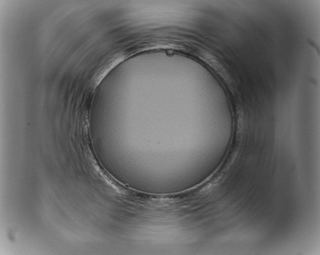 X0000100491377200806271227