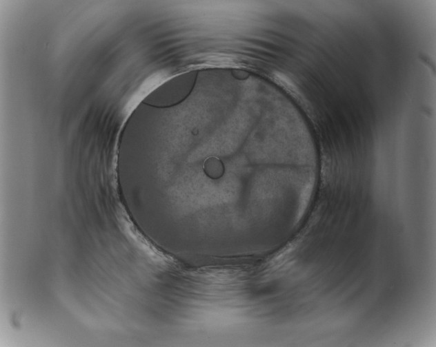 X0000100491378200806271227