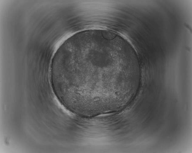 X0000100491379200806271227