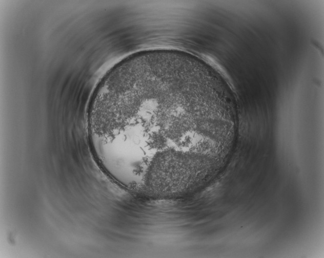 X0000100491380200806271227