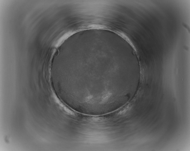 X0000100491381200806271227