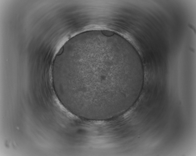 X0000100491382200806271227