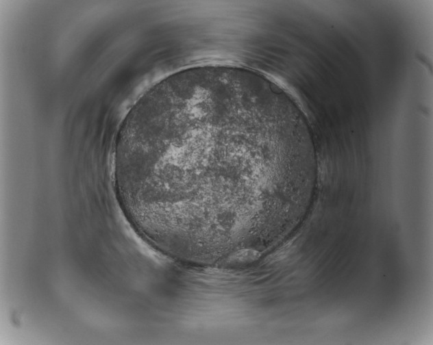 X0000100491383200806271226