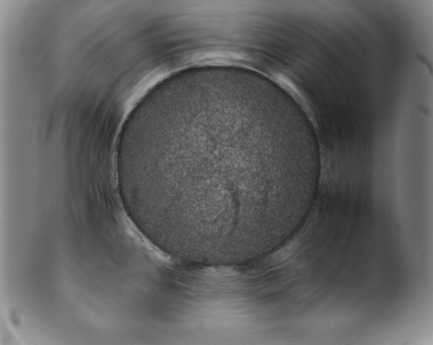 X0000100491384200806271226