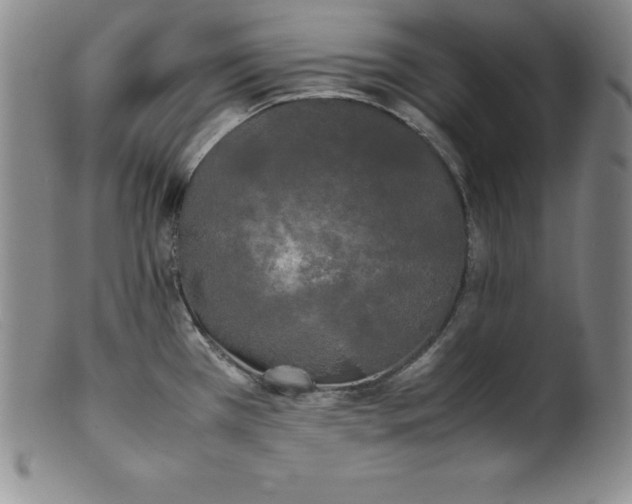 X0000100491385200806271226