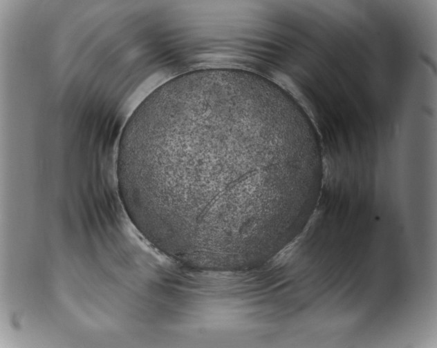 X0000100491386200806271226