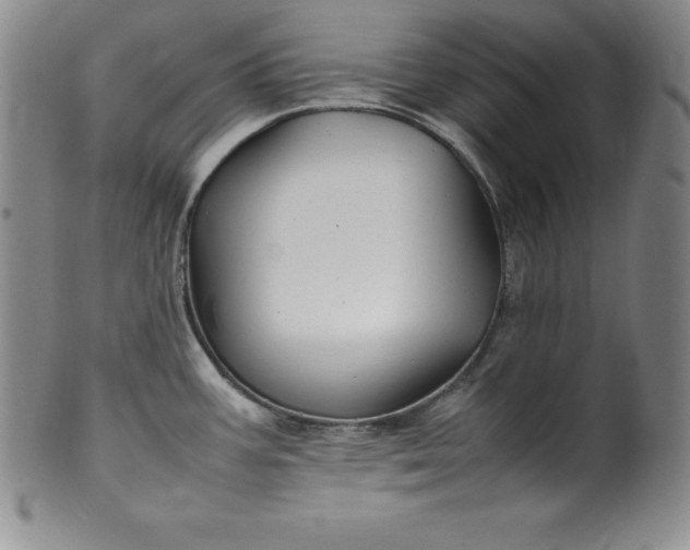 X0000100491387200806271226