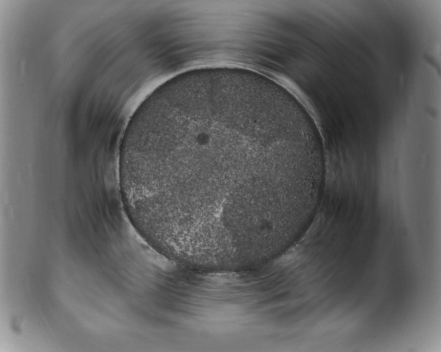 X0000100491388200806271226