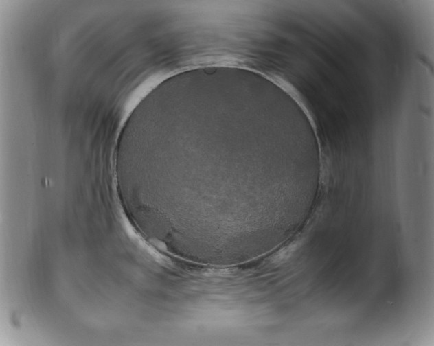 X0000100491389200806271226