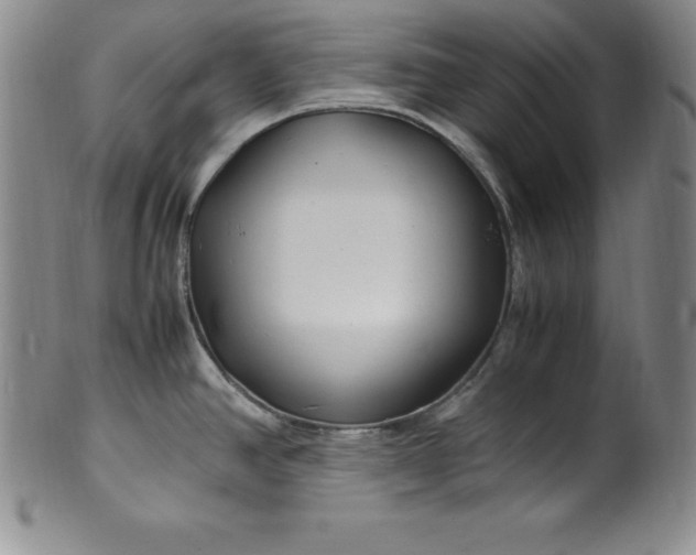 X0000100491390200806271226