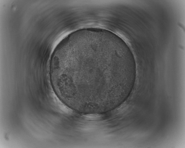 X0000100491392200806271226