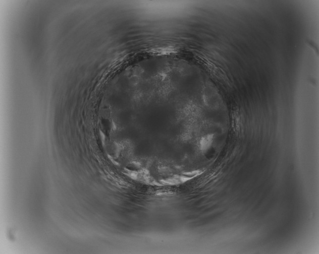 X0000100491393200806271226