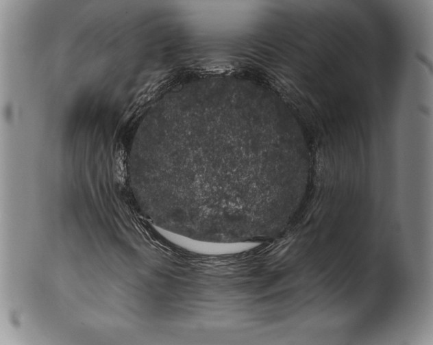 X0000100491394200806271226