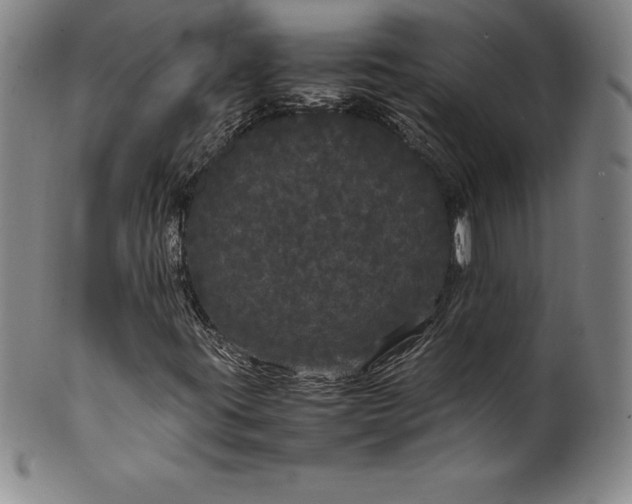 X0000100491395200806271226