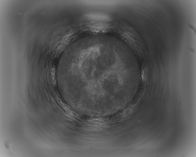 X0000100491396200806271226