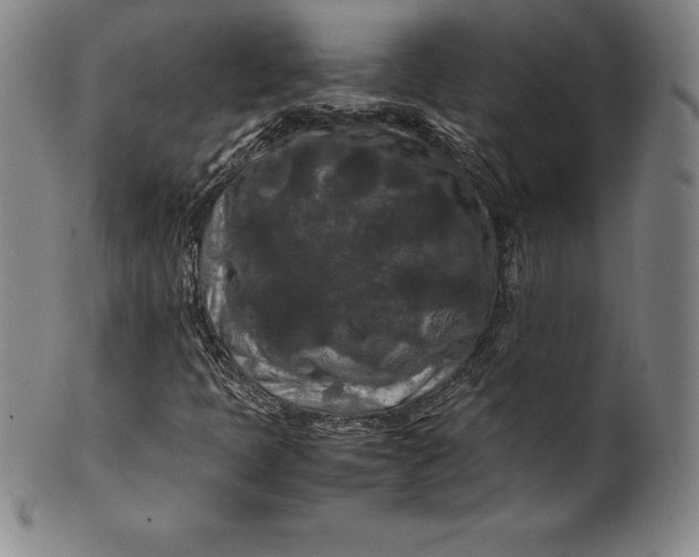 X0000100491397200806271226