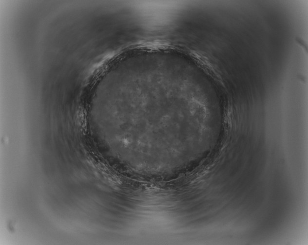 X0000100491398200806271226