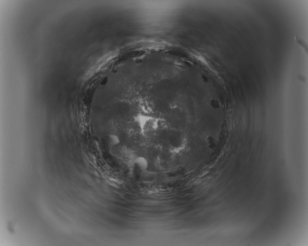 X0000100491399200806271226