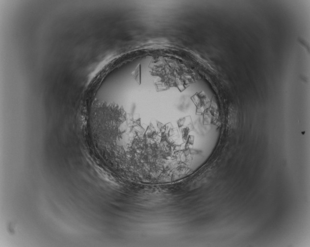 X0000100491400200806271226